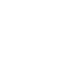 PICS AI Logo